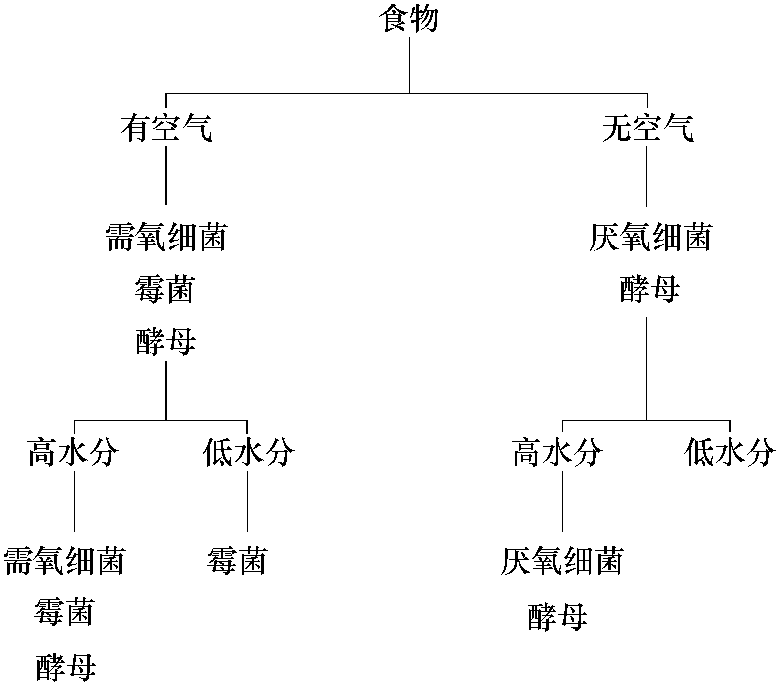 一、引起食品腐敗變質的主要因素及其特性